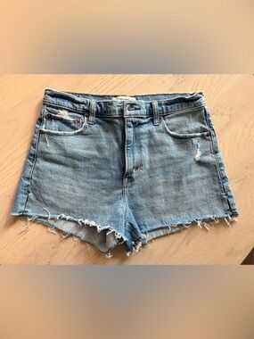 Abercrombie and Fitch The Mom Short High Rise - size 27/ 4